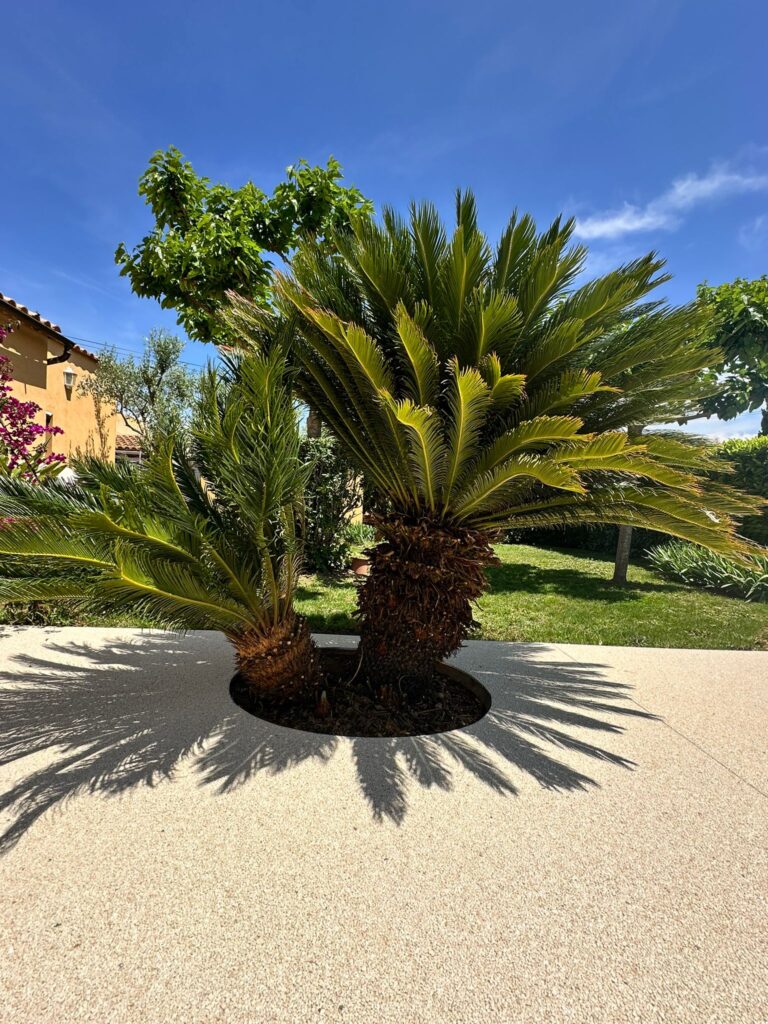 Garden Park Concept | WhatsApp Image 2025 05 21 at 17.49.15 Garden Park Concept | WhatsApp Image 2025 05 21 at 17.49.15